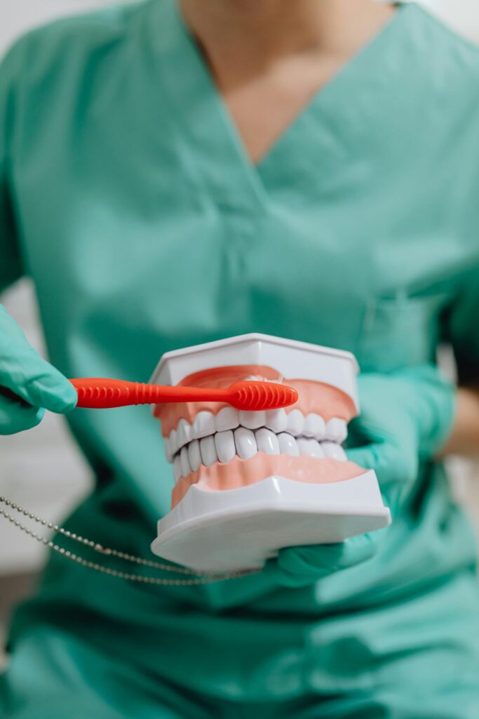 A dental professional in green scrubs demonstrating proper brushing techniques on a large dental model with a red toothbrush at Dental Clinic 24 Antalya.